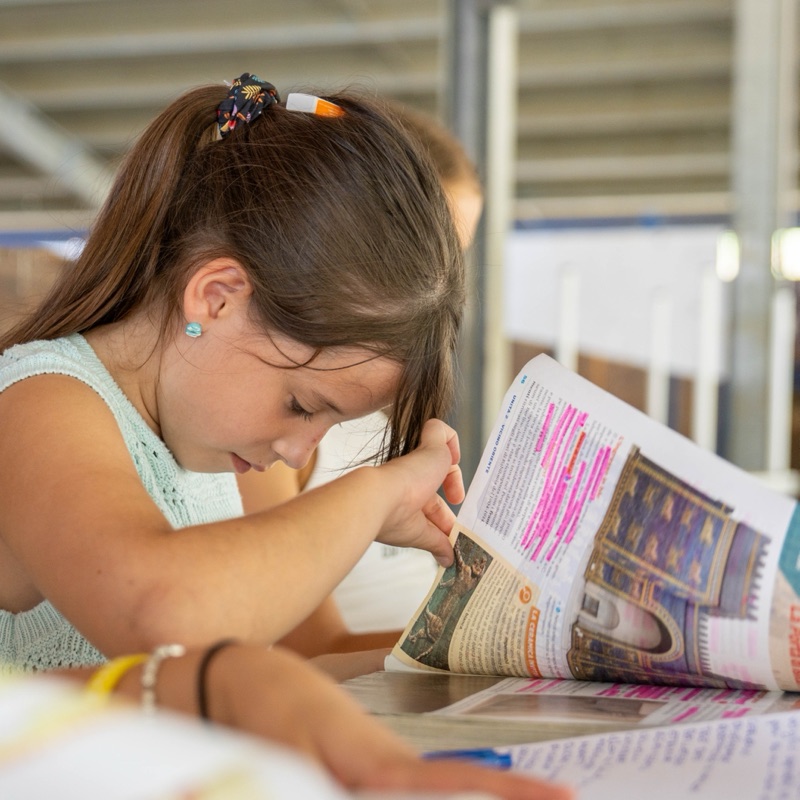 Una chica lee sola, concentrada en un libro abierto
