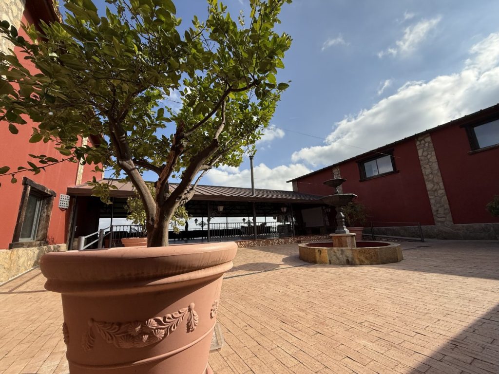 La Finca de la Paz: la terrazza