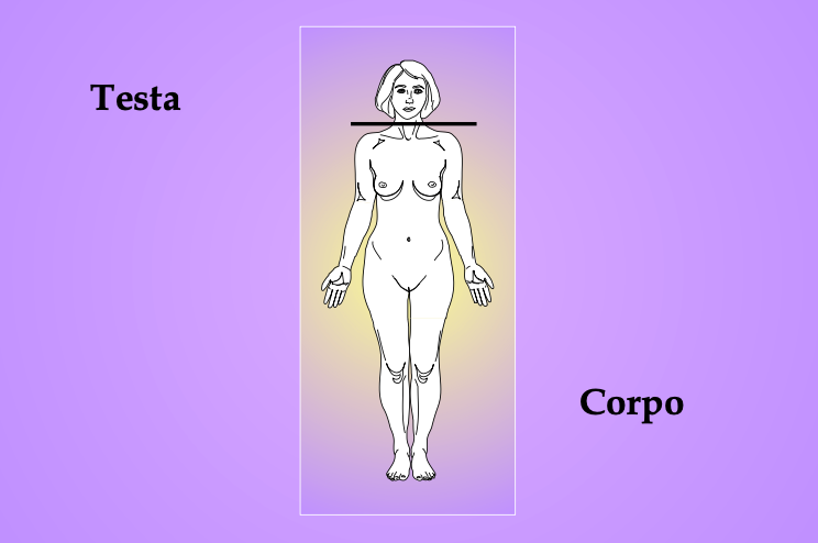 1 - testa-corpo