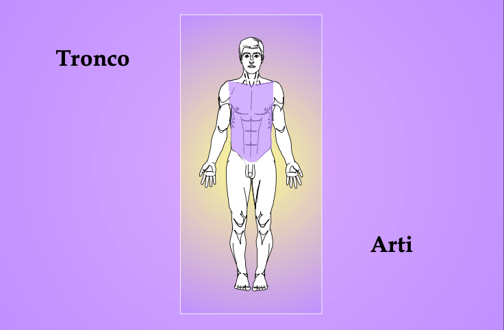 5 - tronco-arti