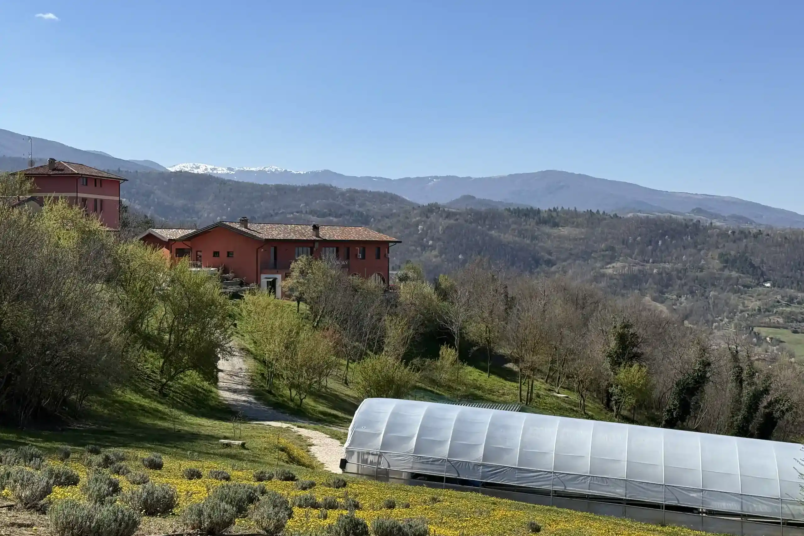 farmhouses-with-polytunnel-and-lavender-field