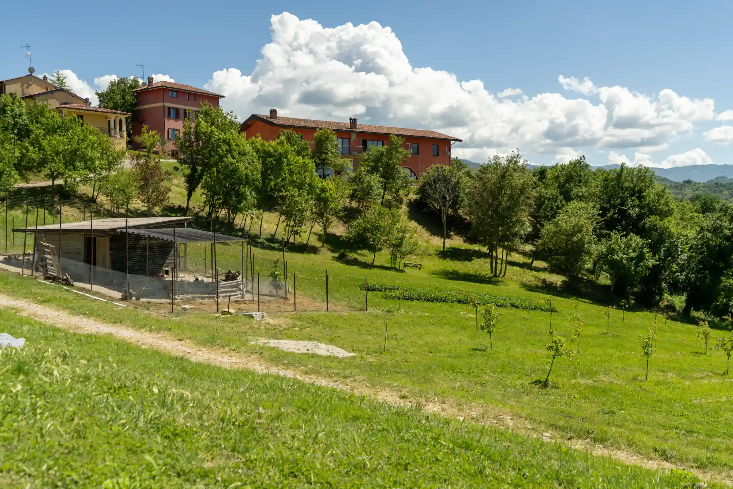 red-farmhouse-with-meadow-and-animal-enclosure
